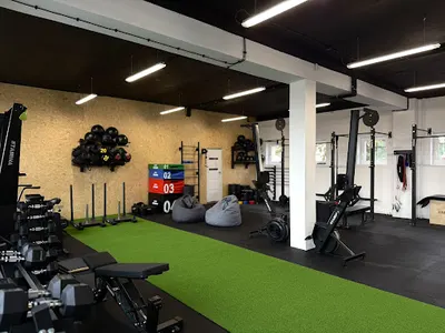 Stamina • Studio Treningu i Rehabilitacji